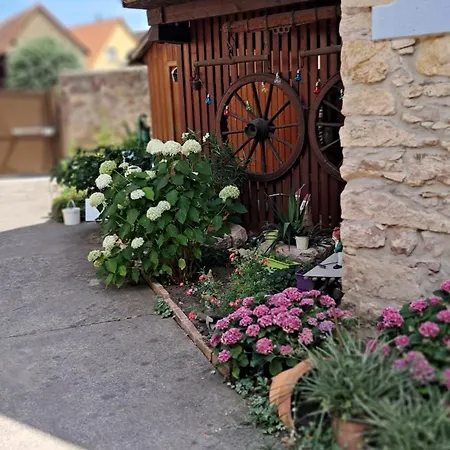 Cocon à Colombage Alsacien 1789 * Innenheim