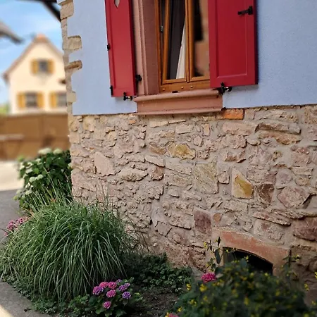 Cocon à Colombage Alsacien 1789 Apartamento